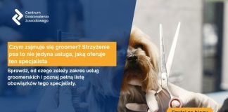 strzyżenie psa