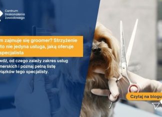 strzyżenie psa
