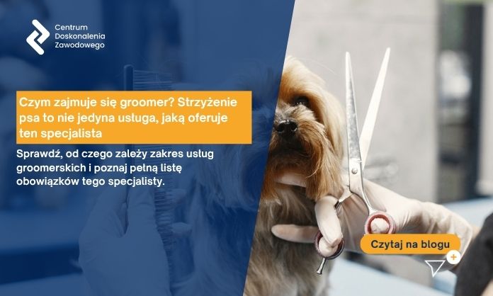 strzyżenie psa