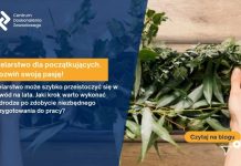 Zielarstwo dla początkujących. Rozwiń swoją pasję!
