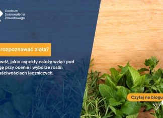 jak rozpoznawać zioła