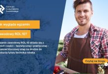 jak wygląda egzamin zawodowy rol.10