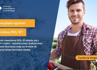 jak wygląda egzamin zawodowy rol.10