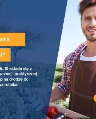 jak wygląda egzamin zawodowy rol.10