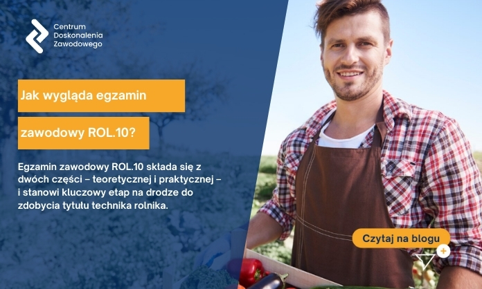jak wygląda egzamin zawodowy rol.10