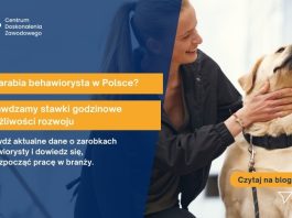 ile zarabia behawiorysta zwierząt