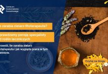 Ile zarabia zielarz-fitoterapeuta? Sprawdzamy pensję specjalisty od roślin leczniczych zielarz-fitoterapeuta ile zarabia