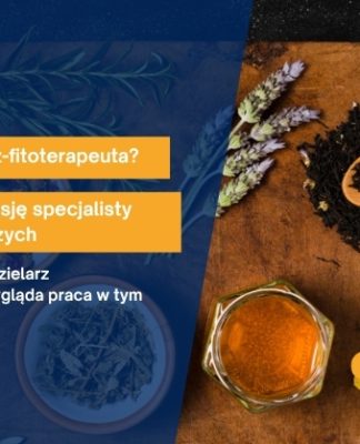 Ile zarabia zielarz-fitoterapeuta? Sprawdzamy pensję specjalisty od roślin leczniczych zielarz-fitoterapeuta ile zarabia