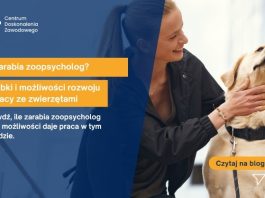zoopsycholog ile zarabia