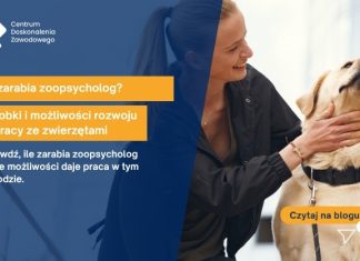 zoopsycholog ile zarabia