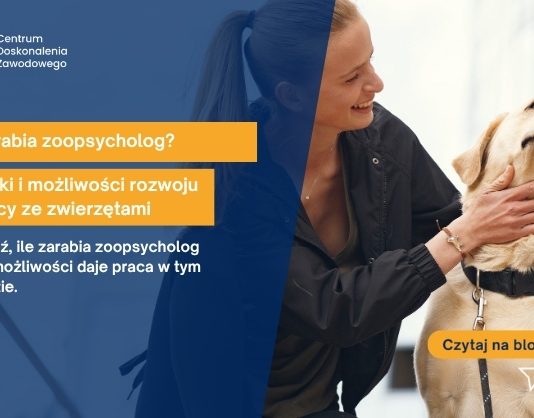 zoopsycholog ile zarabia