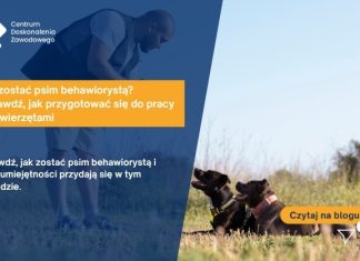 Jak zostać psim behawiorystą? Sprawdź, jak przygotować się do pracy ze zwierzętami Jak zostać psim behawiorystą? Sprawdź, jak przygotować się do pracy ze zwierzętami