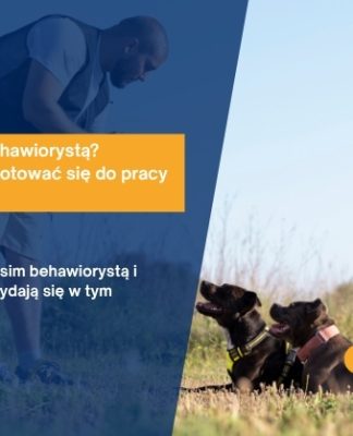 Jak zostać psim behawiorystą? Sprawdź, jak przygotować się do pracy ze zwierzętami
