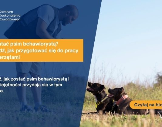 Jak zostać psim behawiorystą? Sprawdź, jak przygotować się do pracy ze zwierzętami